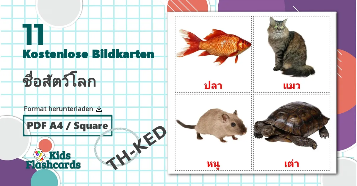 11 Bildkarten für ชื่อสัตว์โลก