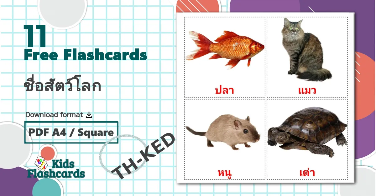 11 ชื่อสัตว์โลก flashcards