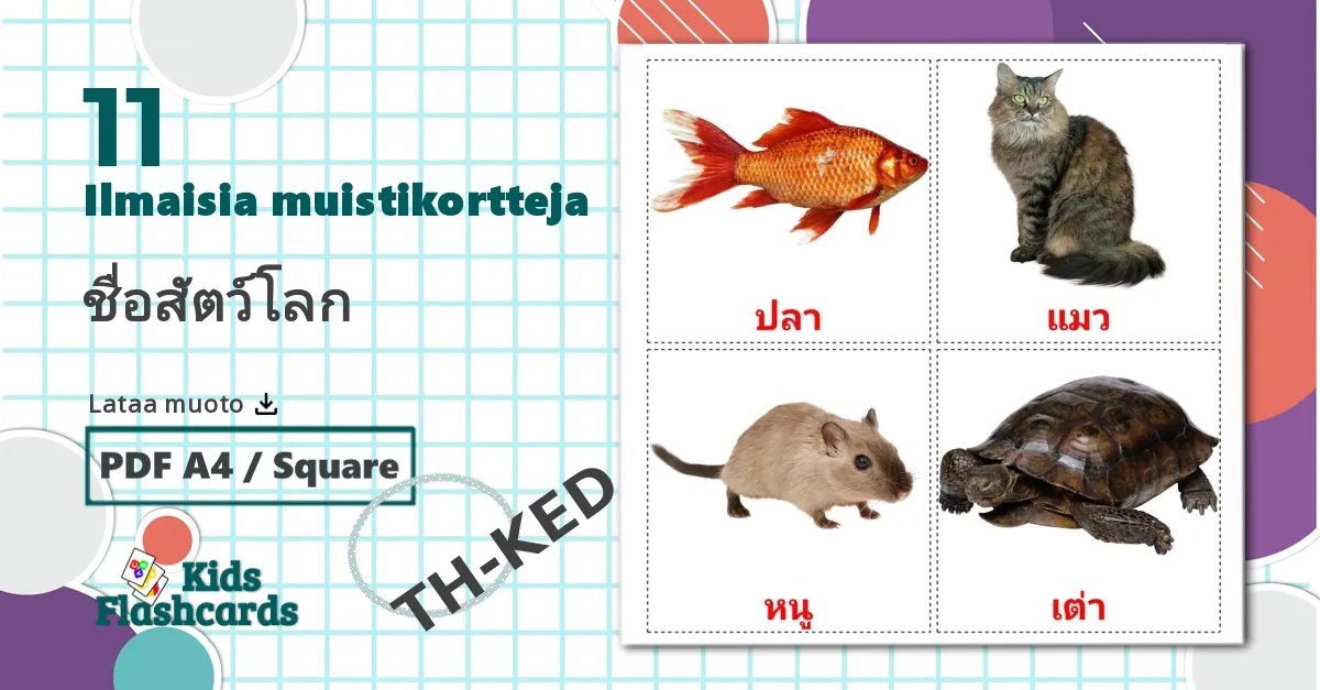 11 ชื่อสัตว์โลก lasten kuvakortit