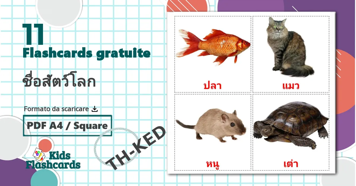 11 flashcards di ชื่อสัตว์โลก