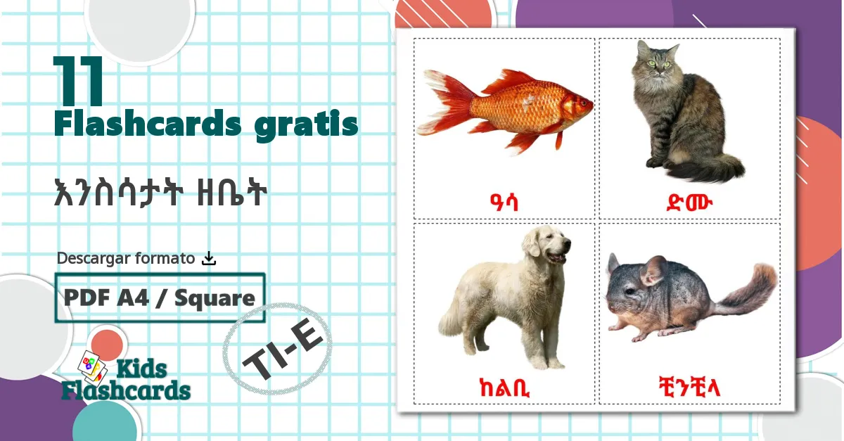 11 tarjetas didacticas de እንስሳታት ዘቤት