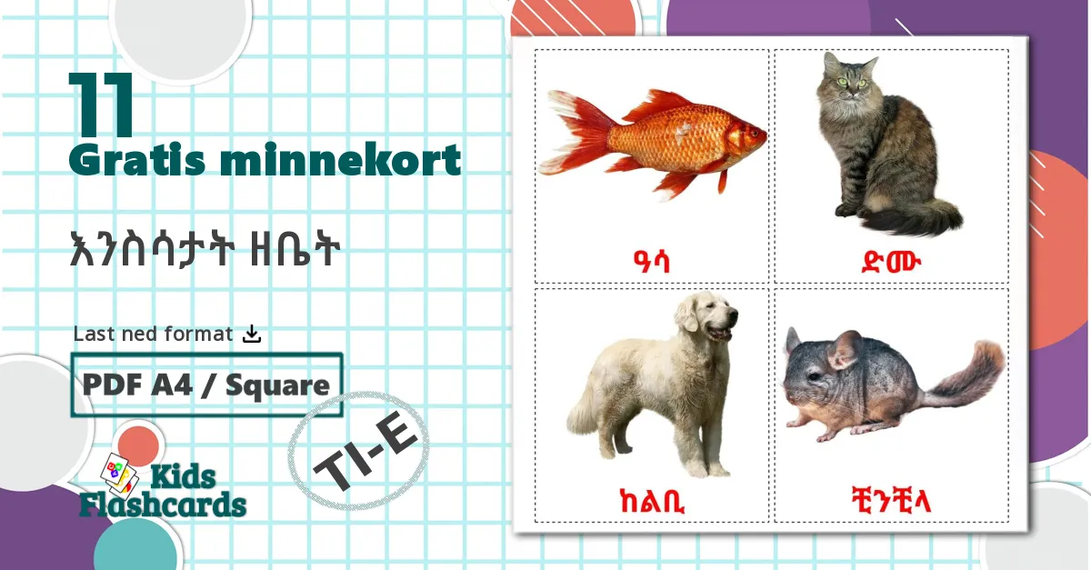 11 እንስሳታት ዘቤት bildekort