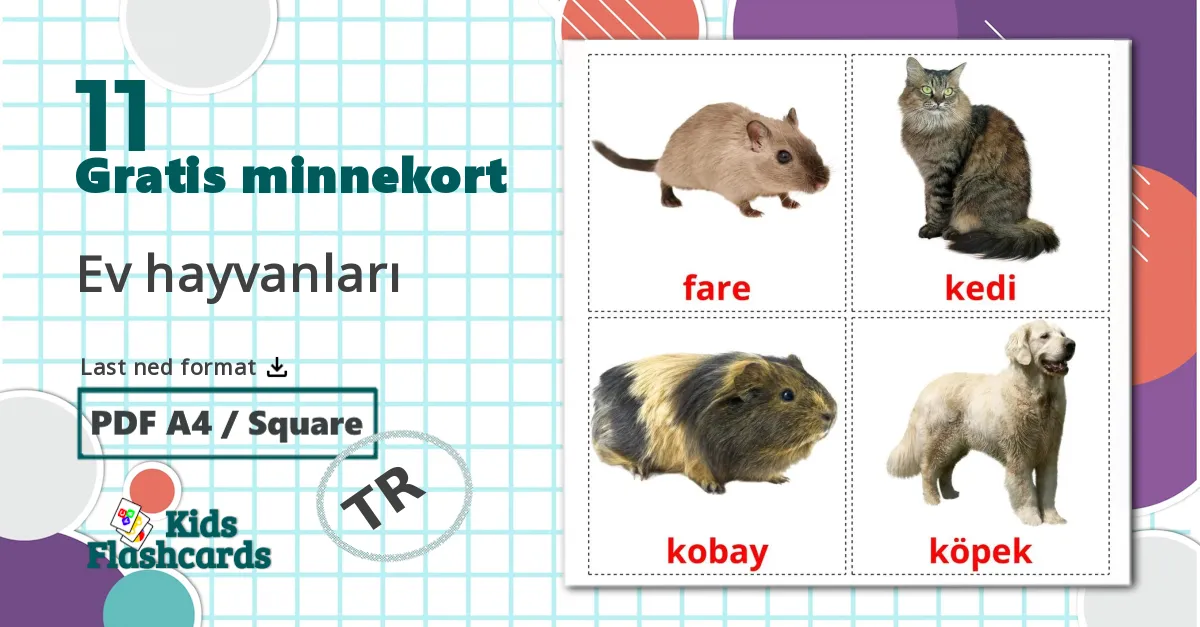 11 Ev hayvanları  bildekort