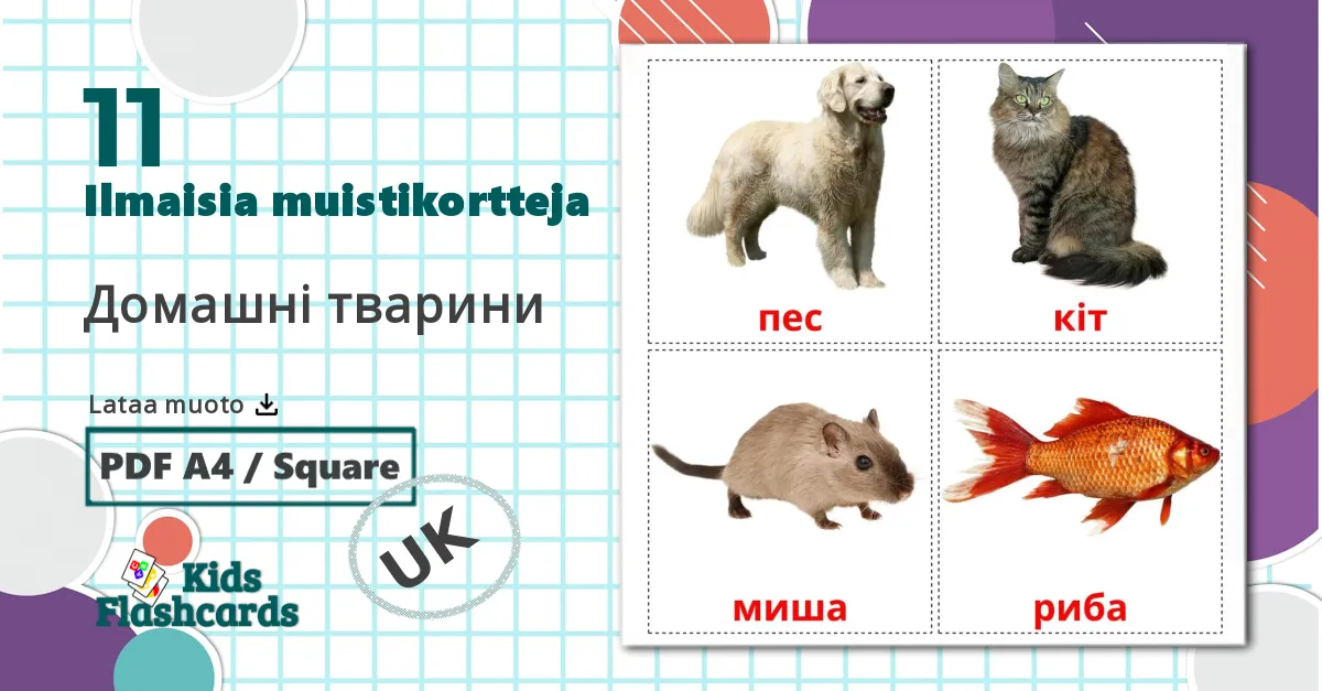 11 Домашнi тварини  lasten kuvakortit
