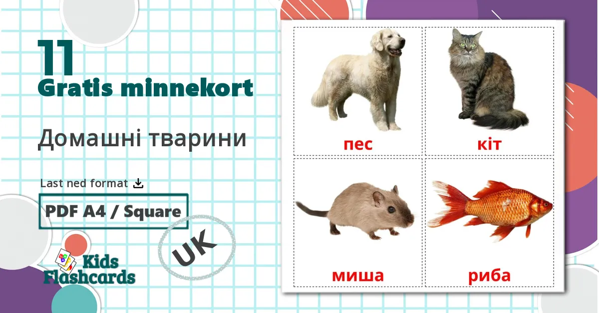 11 Домашнi тварини bildekort