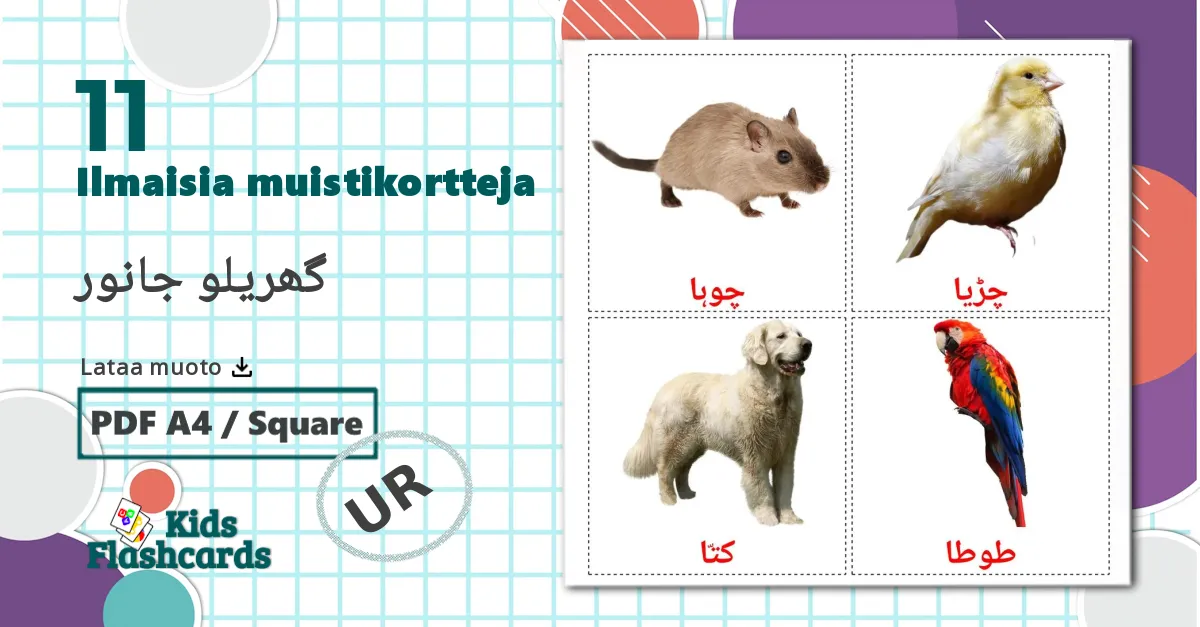 11 گھریلو جانور lasten kuvakortit