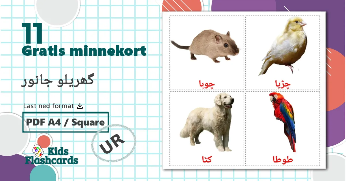 11 گھریلو جانور bildekort