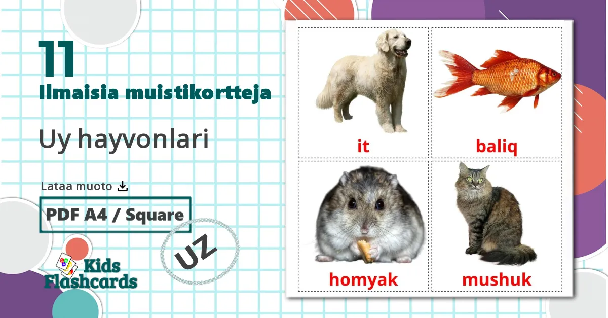 11 Uy hayvonlari lasten kuvakortit