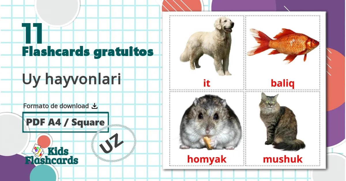 11 Flashcards de Uy hayvonlari