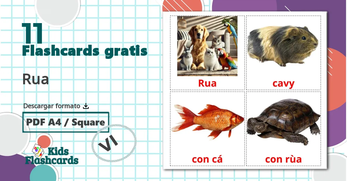 11 tarjetas didacticas de Animales Domésticos