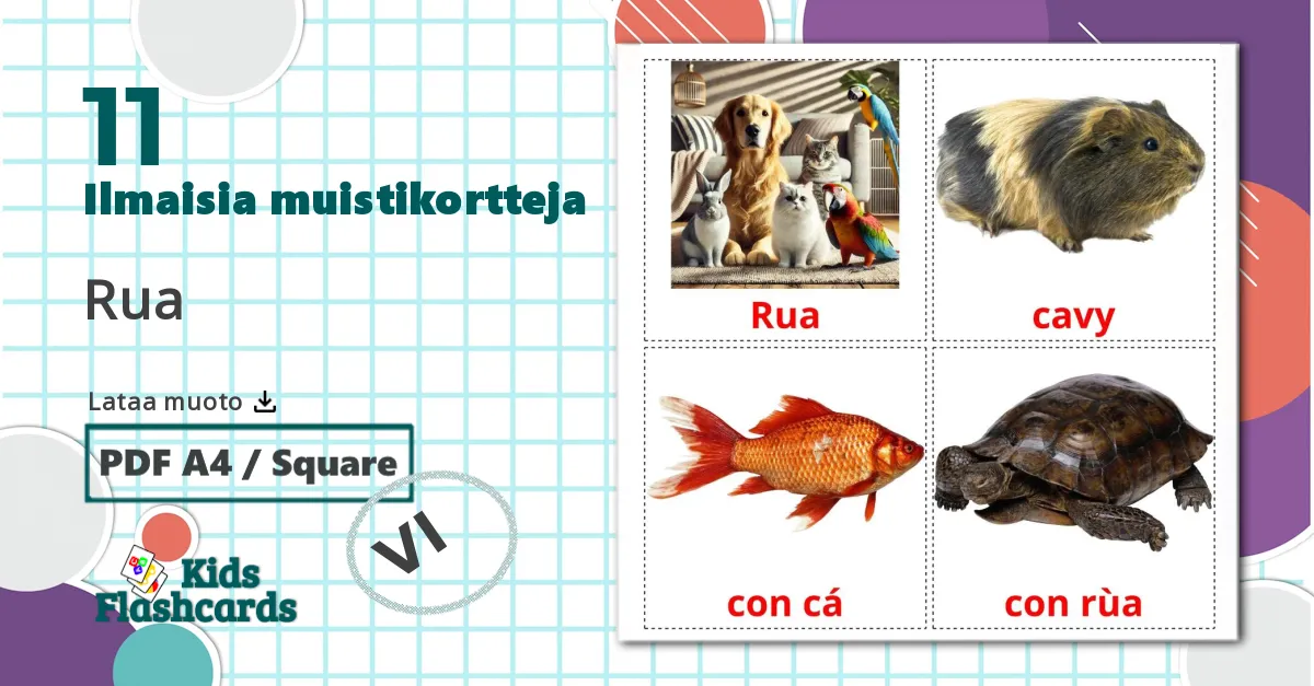 11 Rua lasten kuvakortit