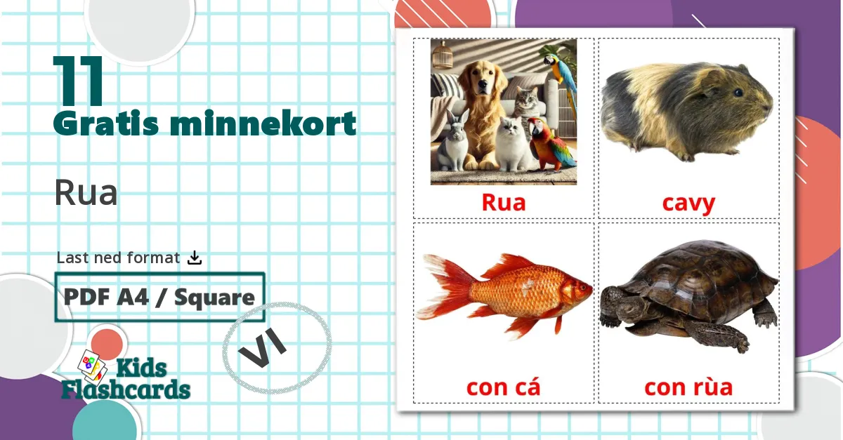 11 Rua bildekort