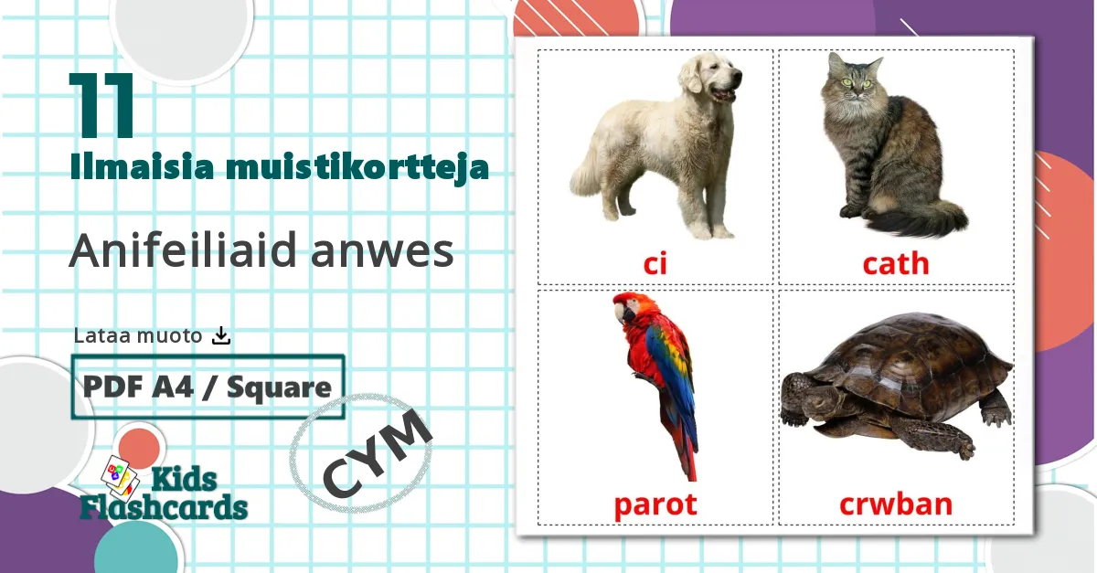 11 Anifeiliaid anwes lasten kuvakortit