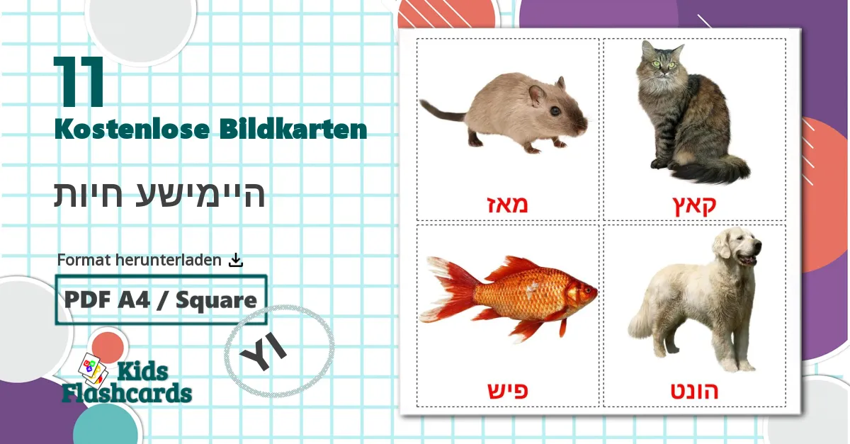 11 Bildkarten für היימישע חיות