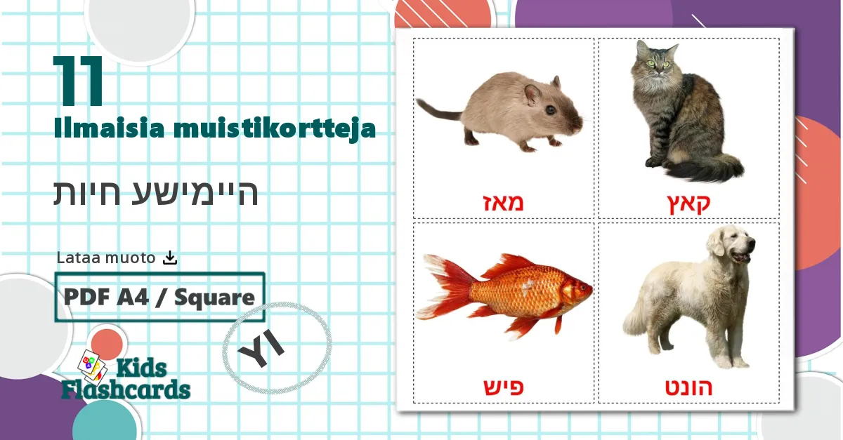 11 היימישע חיות lasten kuvakortit