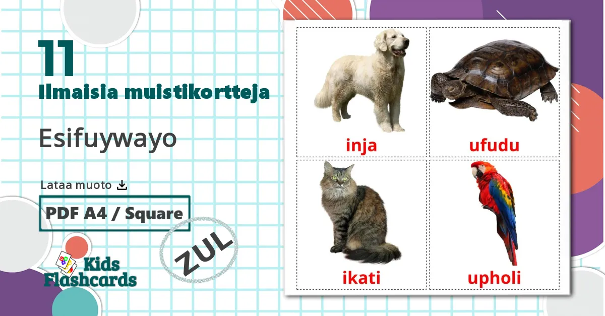 11 Esifuywayo lasten kuvakortit