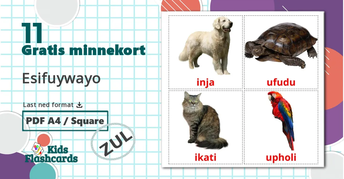 11 Esifuywayo bildekort