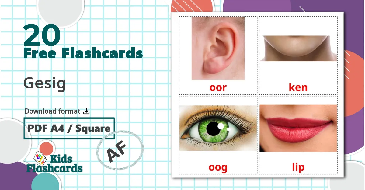 Face - afrikaans vocabulary cards