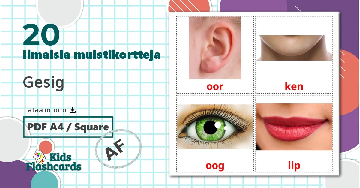 Kasvot - afrikaans sanastokortit