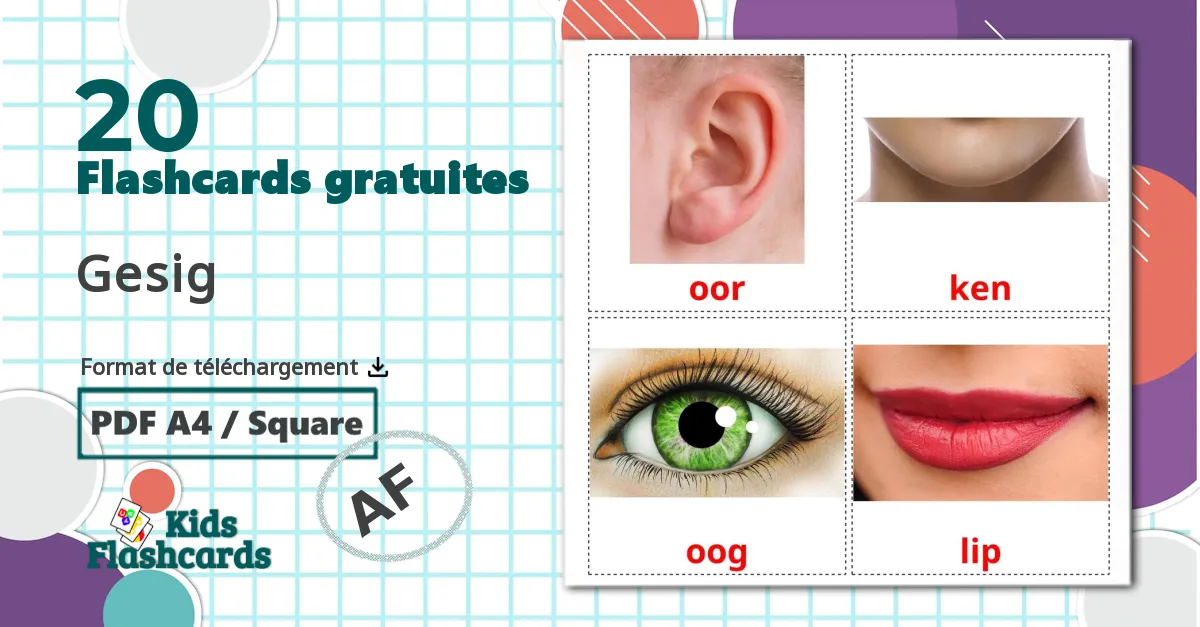 Parties du Visage - cartes de vocabulaire afrikaans