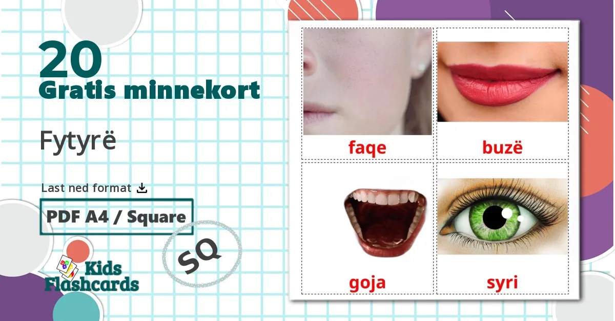 Ansikt - Ordforrådskort for albansk