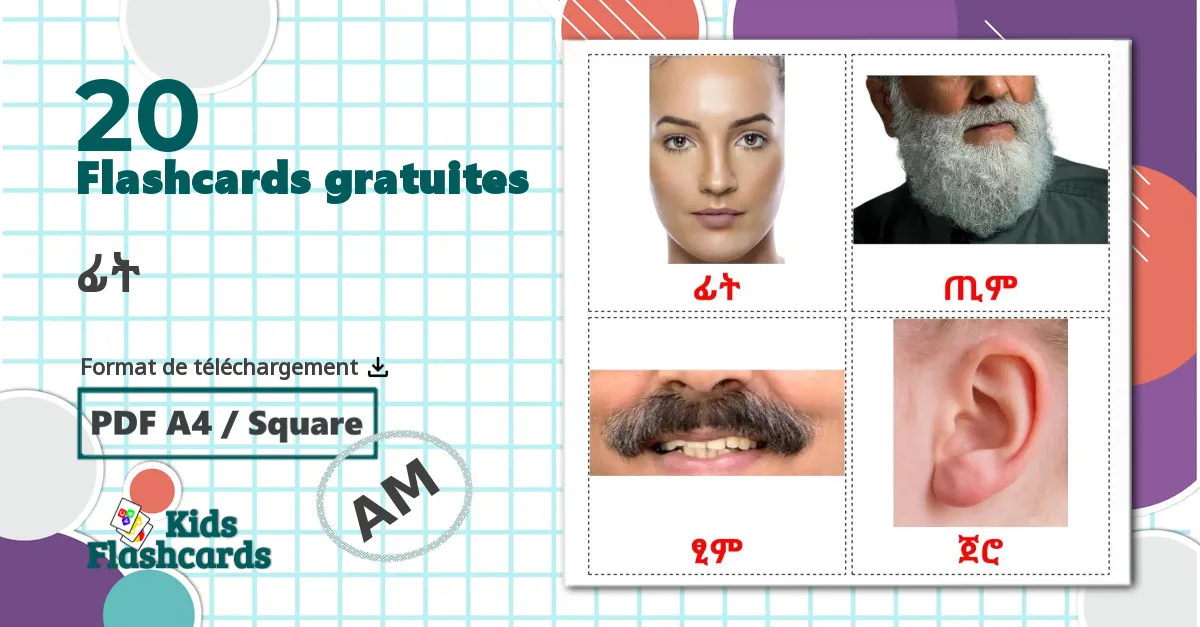 Parties du Visage - cartes de vocabulaire amharique