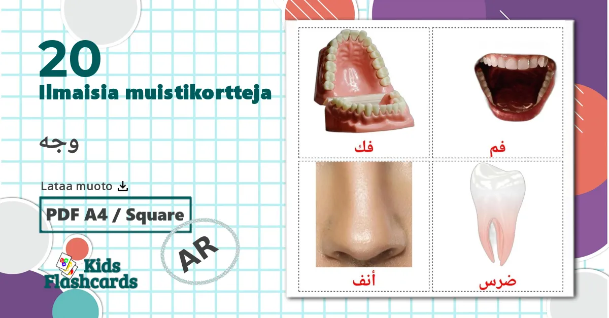 Kasvot - arabic sanastokortit