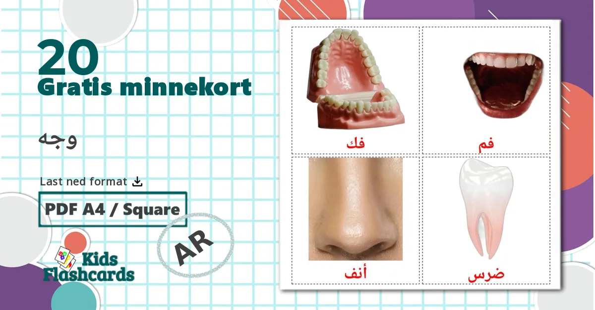Ansikt - Ordforrådskort for arabisk