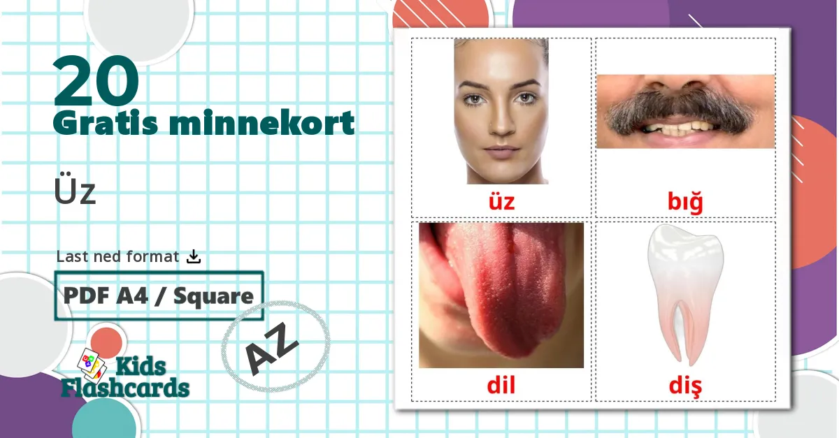 20 Üz bildekort
