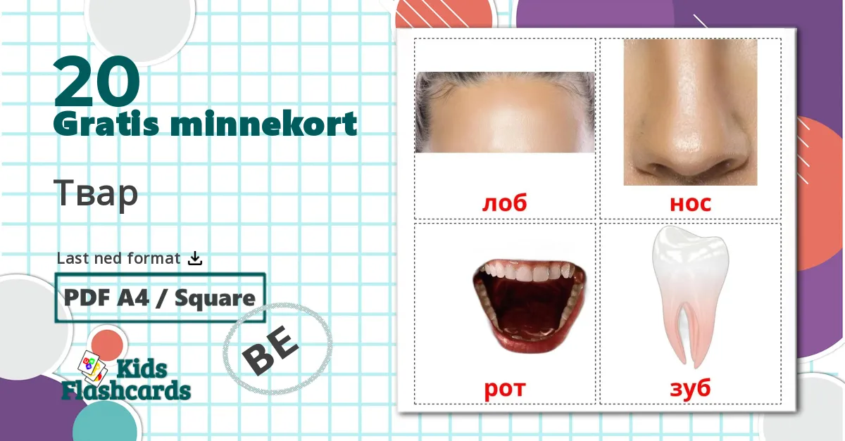 20 Твар bildekort