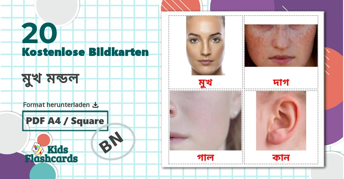 20 Bildkarten für মুখ মন্ডল