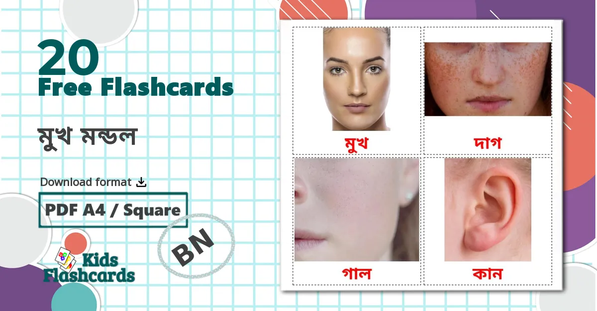 20 মুখ মন্ডল flashcards