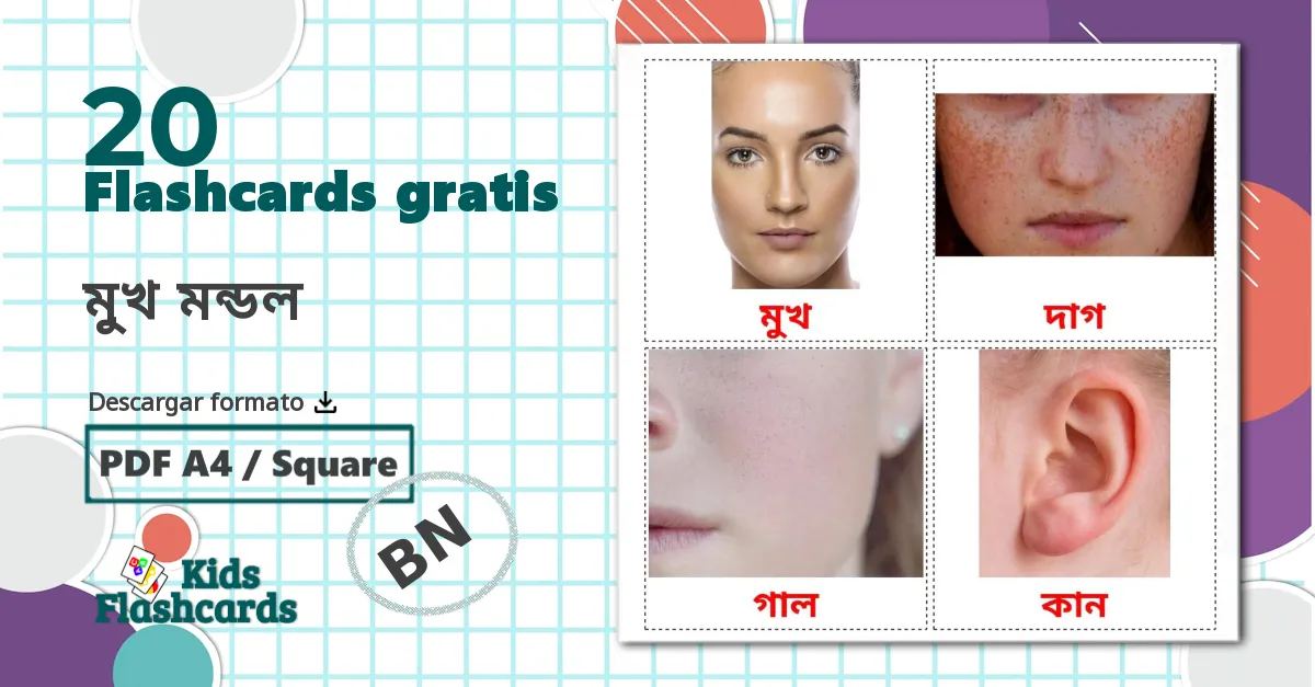 20 tarjetas didacticas de Partes de la Cara