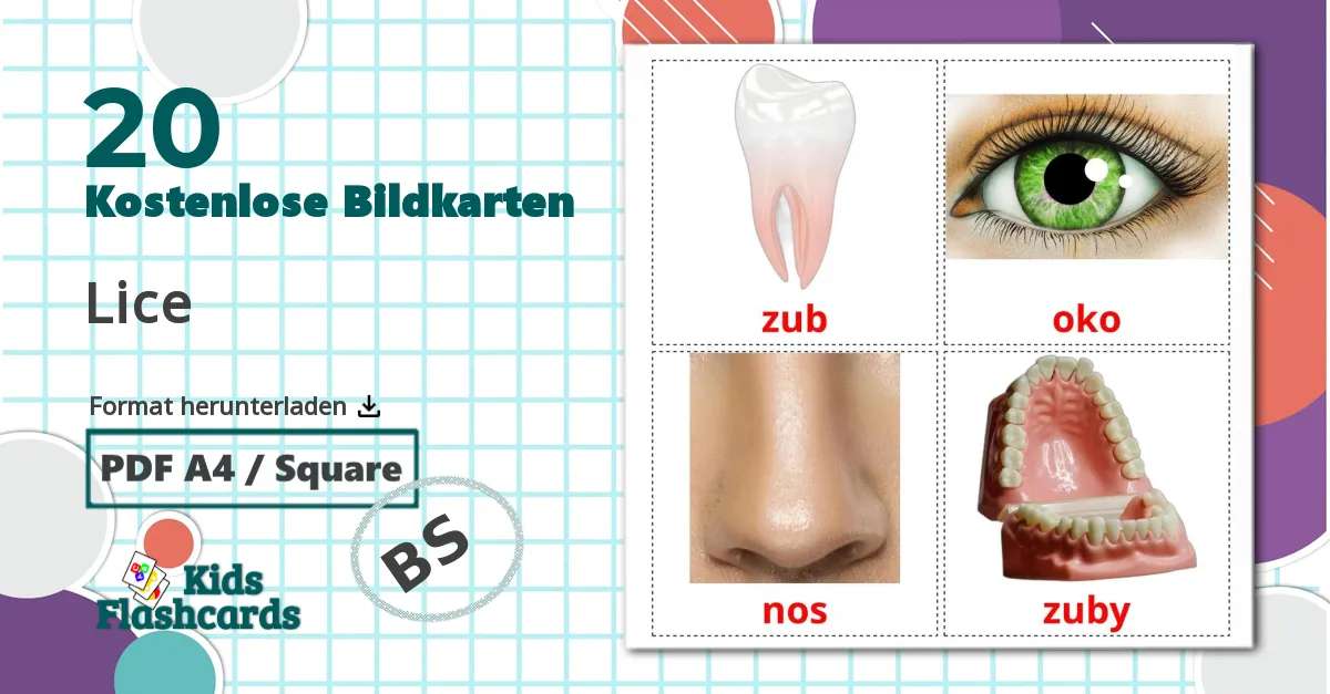 20 Bildkarten für Lice