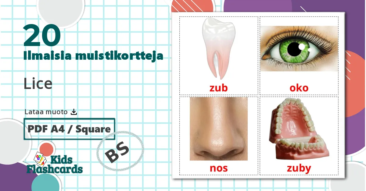 20 Lice lasten kuvakortit