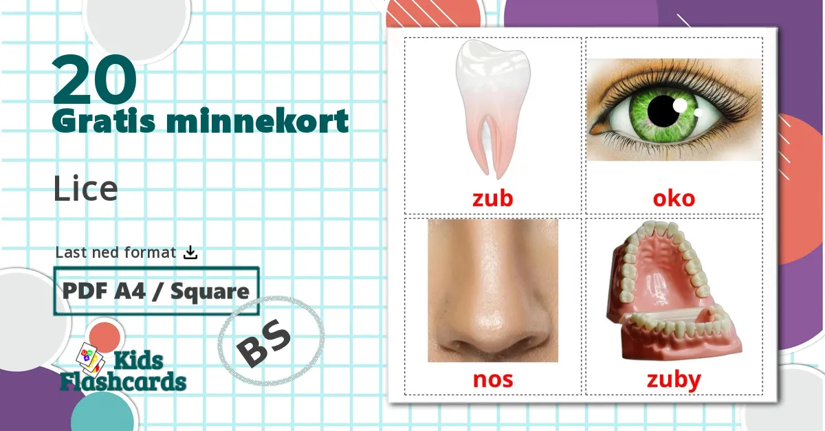 20 Lice bildekort