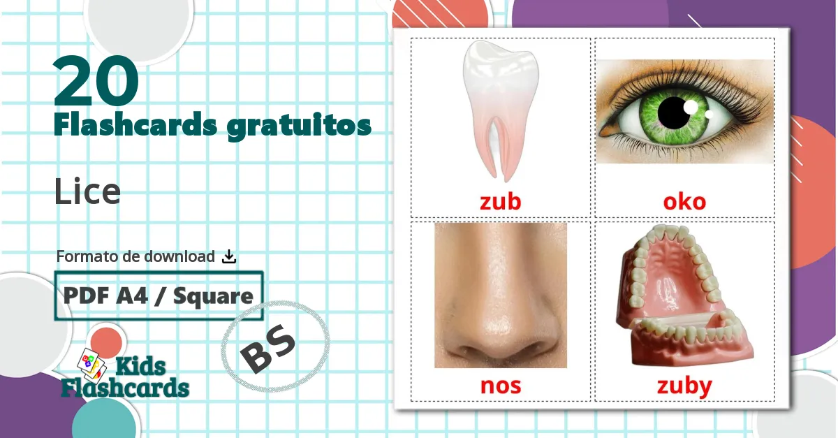 20 Flashcards de Lice