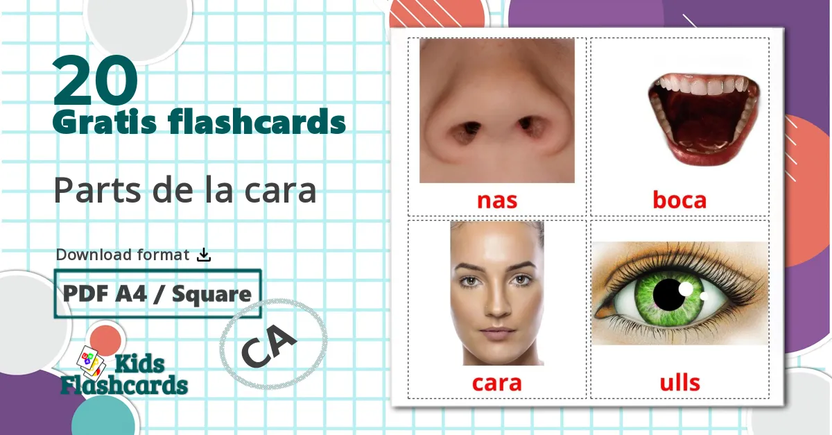 20 Parts de la cara billedkort for børn