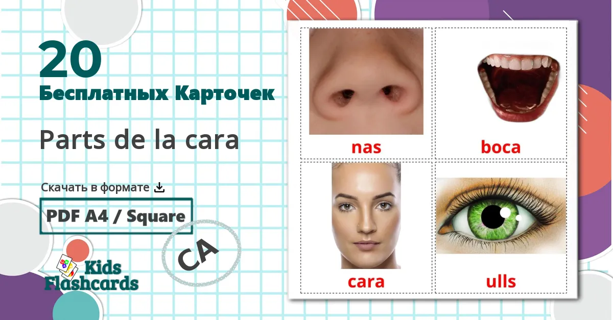 20 Карточки Домана Parts de la cara