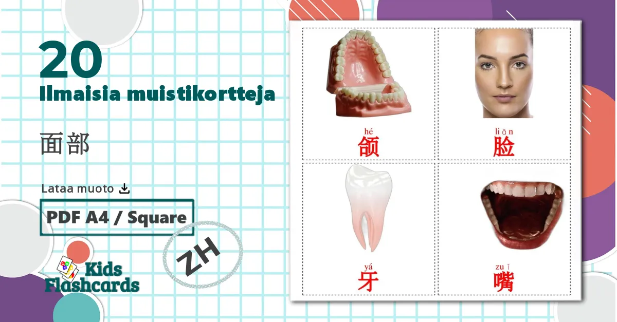 20 面部 lasten kuvakortit