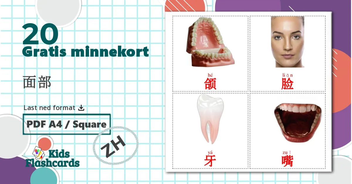 20 面部 bildekort