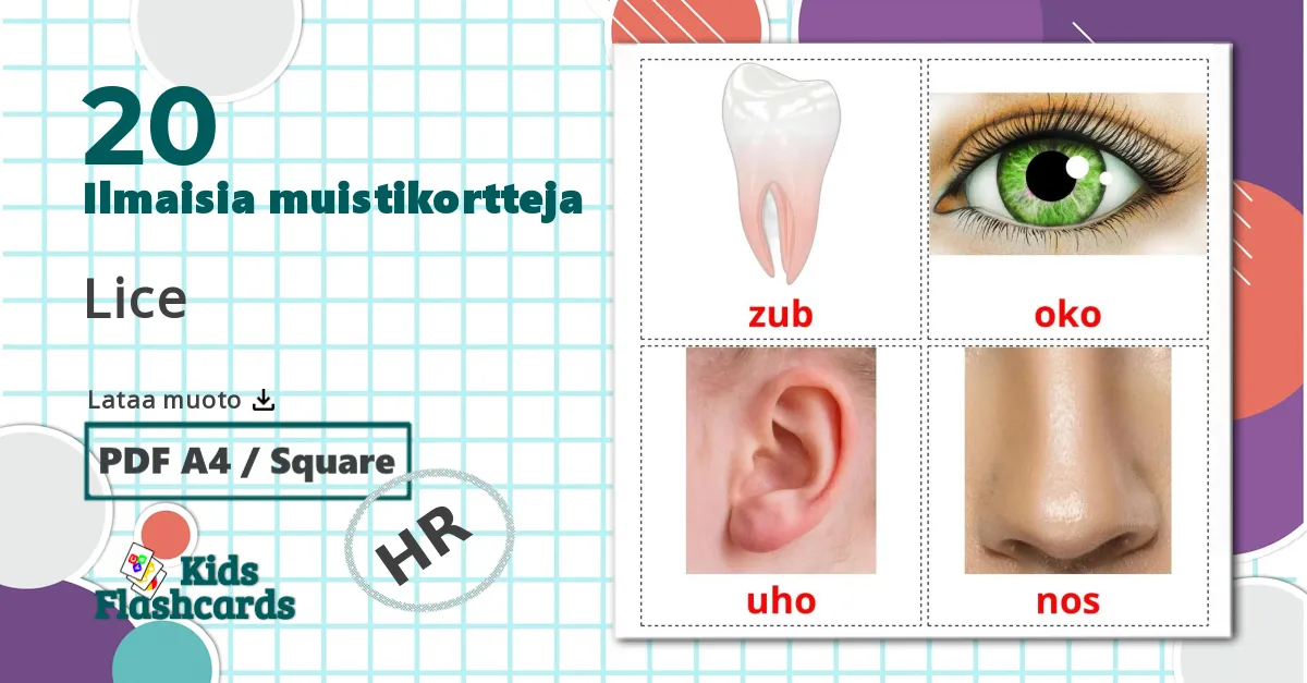 20 Lice lasten kuvakortit