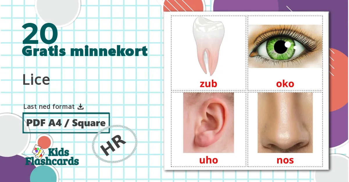 20 Lice bildekort