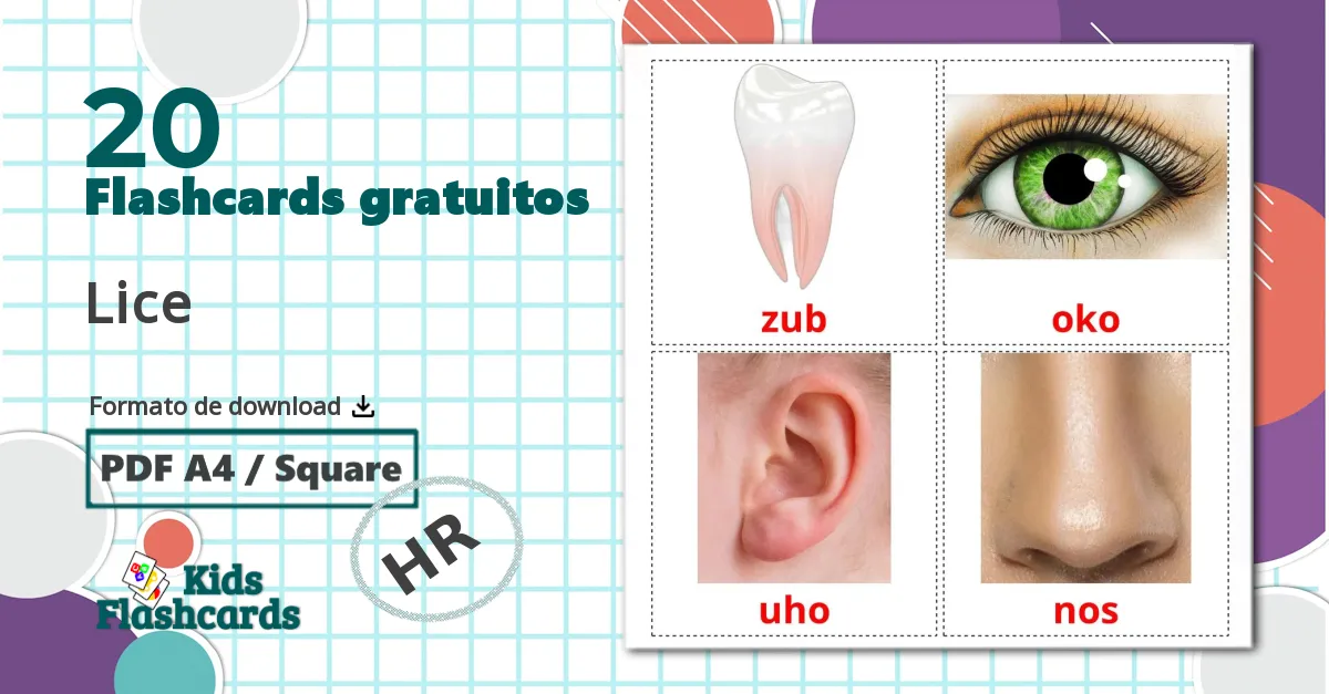 20 Flashcards de Lice