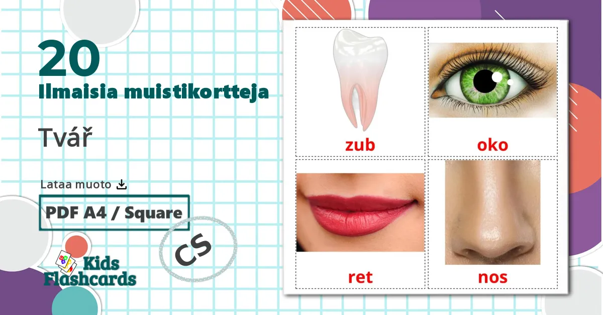 20 Tvář lasten kuvakortit