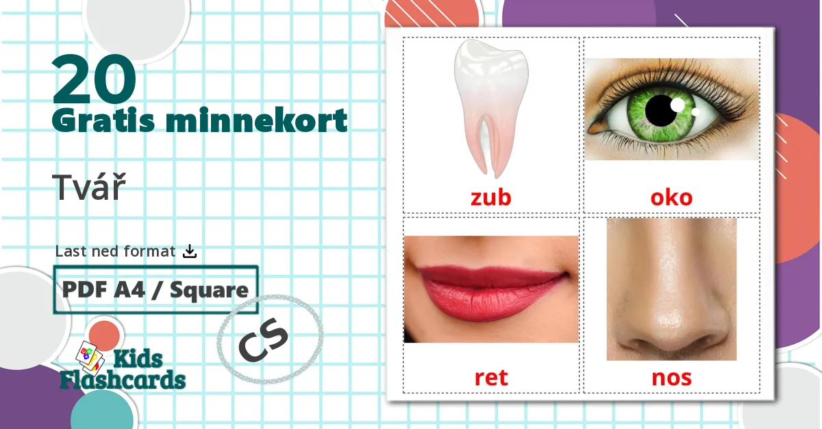20 Tvář bildekort