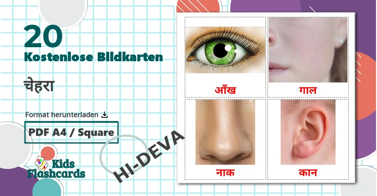 20 Bildkarten für चेहरा