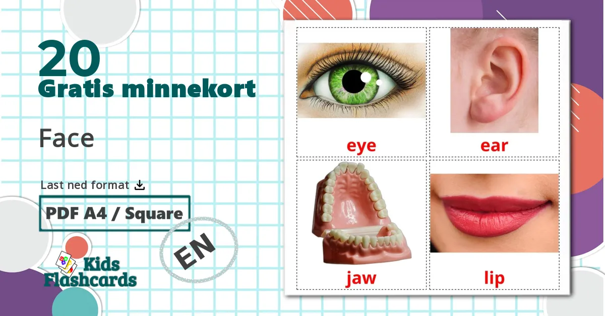 20 Face bildekort
