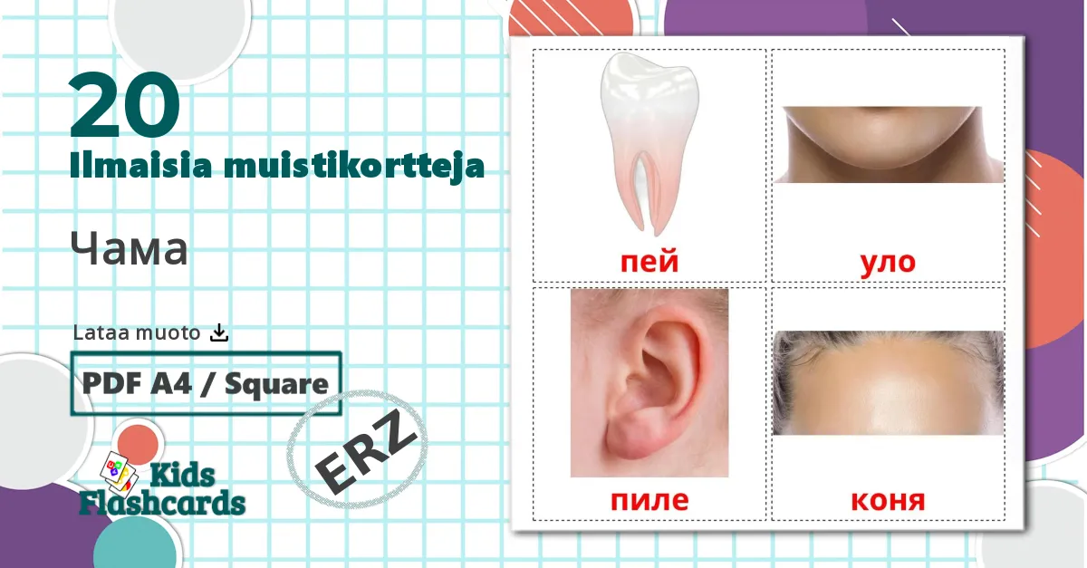 20 Чама lasten kuvakortit