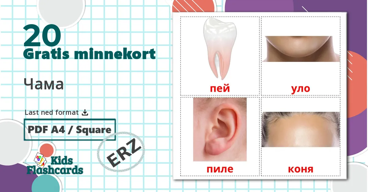 20 Чама bildekort